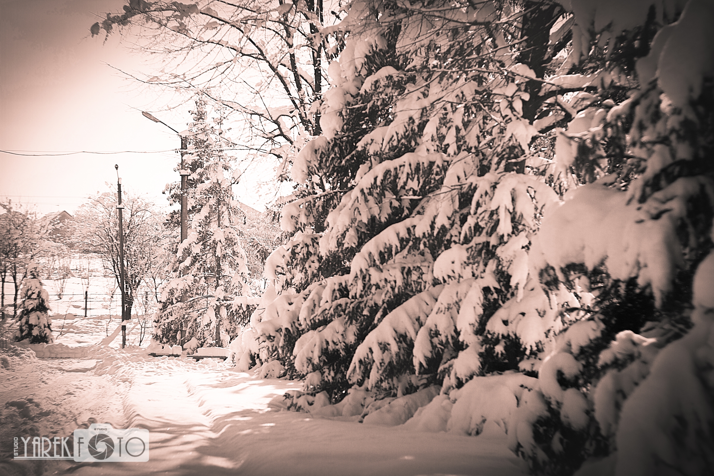 Сепія – дефект чи ефект?