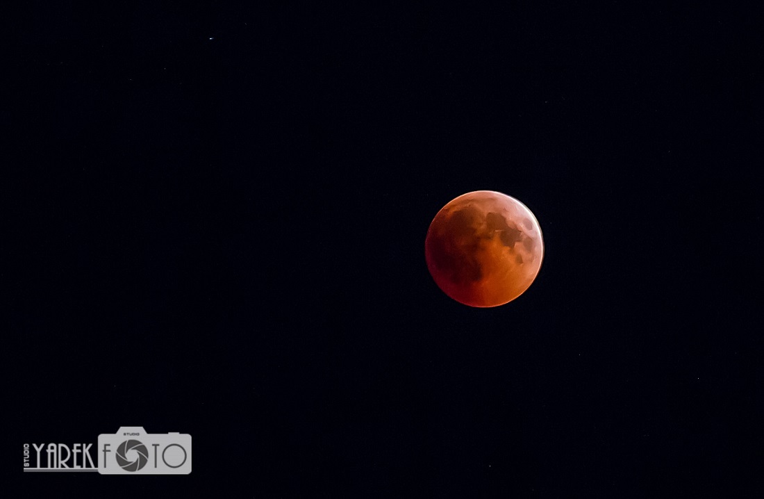 Полювання на червоний місяць