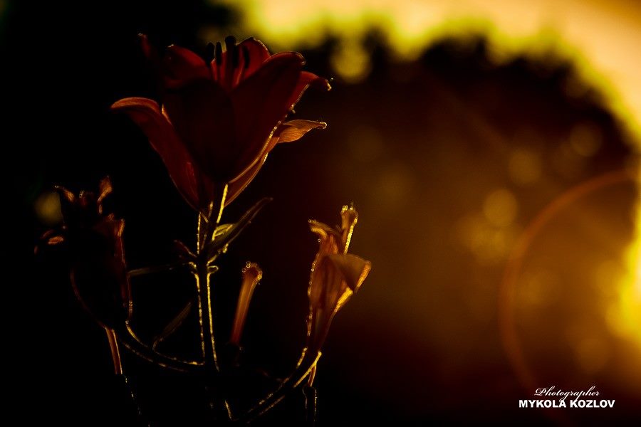 Історія одного кадру: «У світлі сонця що заходить»