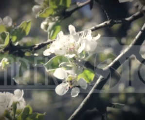 Зі святом!!!