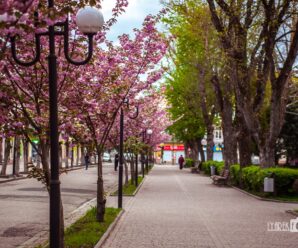 Фотопленер 1.0 Перший весняний фотосет 2020 і нові теми для проекту