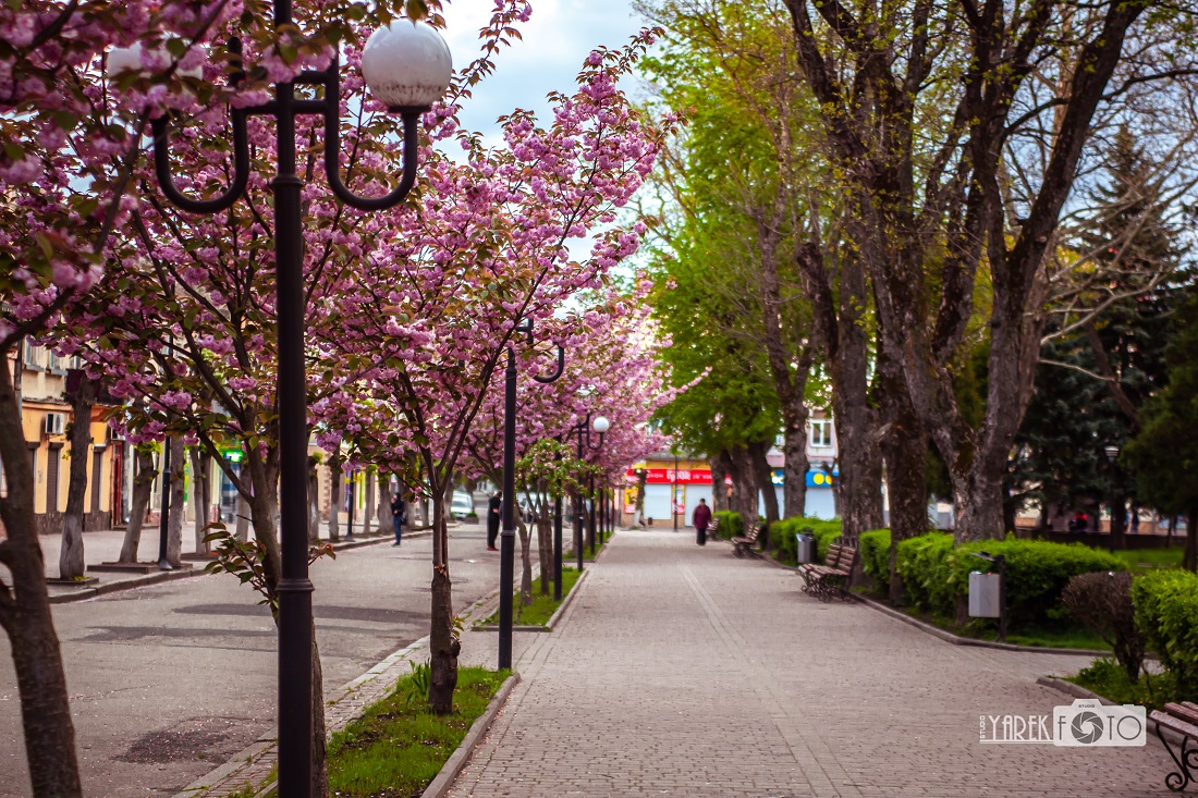 Фотопленер 1.0 Перший весняний фотосет 2020 і нові теми для проекту