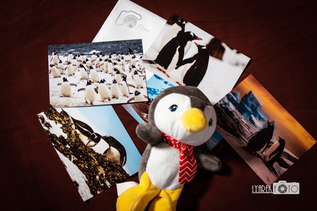 «Листівка Незламності» – фотографічна гуманітарна ініціатива.