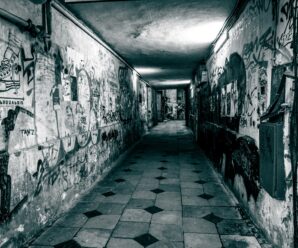 Фотосерія “Міське життя”