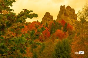 Фото з надмірними налаштуваннями, характерними для початківців.