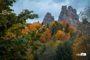 Фото з художньою кольорокорекцією