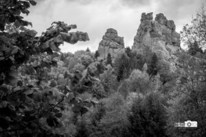 Чорно-біле монохромне фото з тоновою корекцією