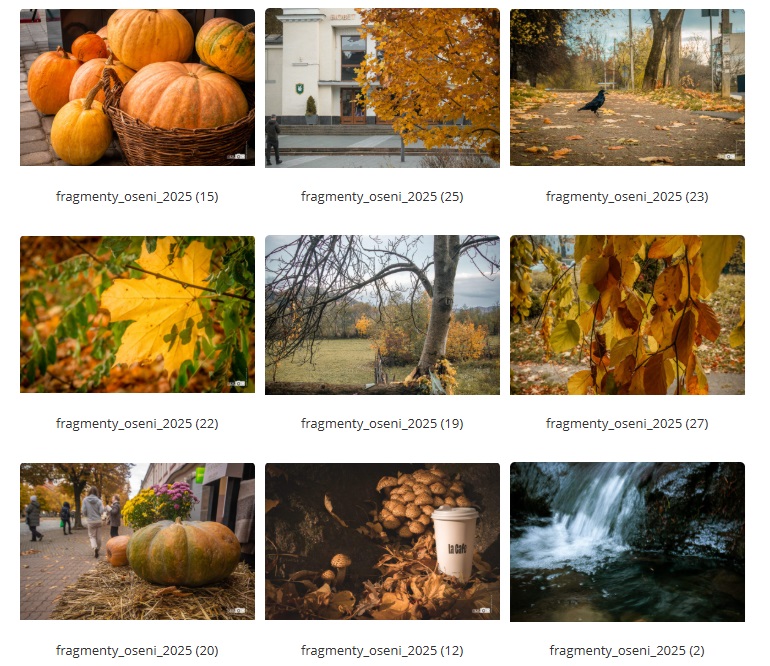 Фотосерія “Фрагменти осені”