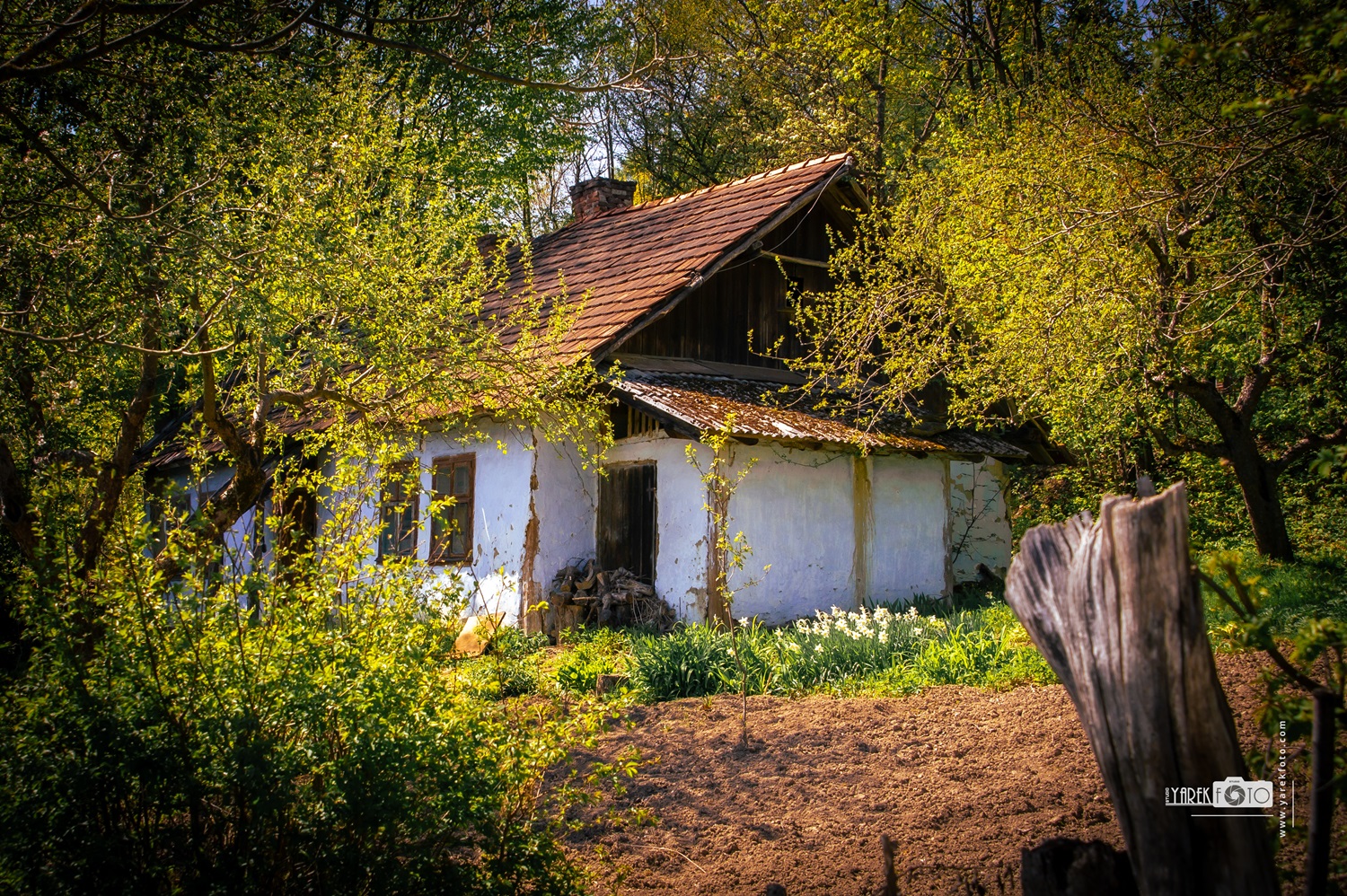 Про весну, кохання і колорування