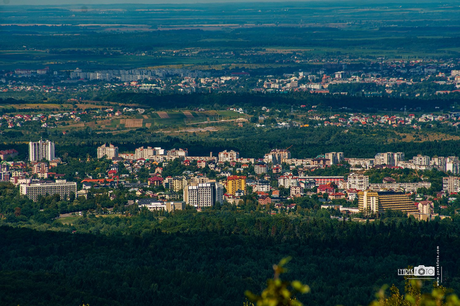 З телеоб’єктивом в спекотну погоду, або свинка від Fata Morgana